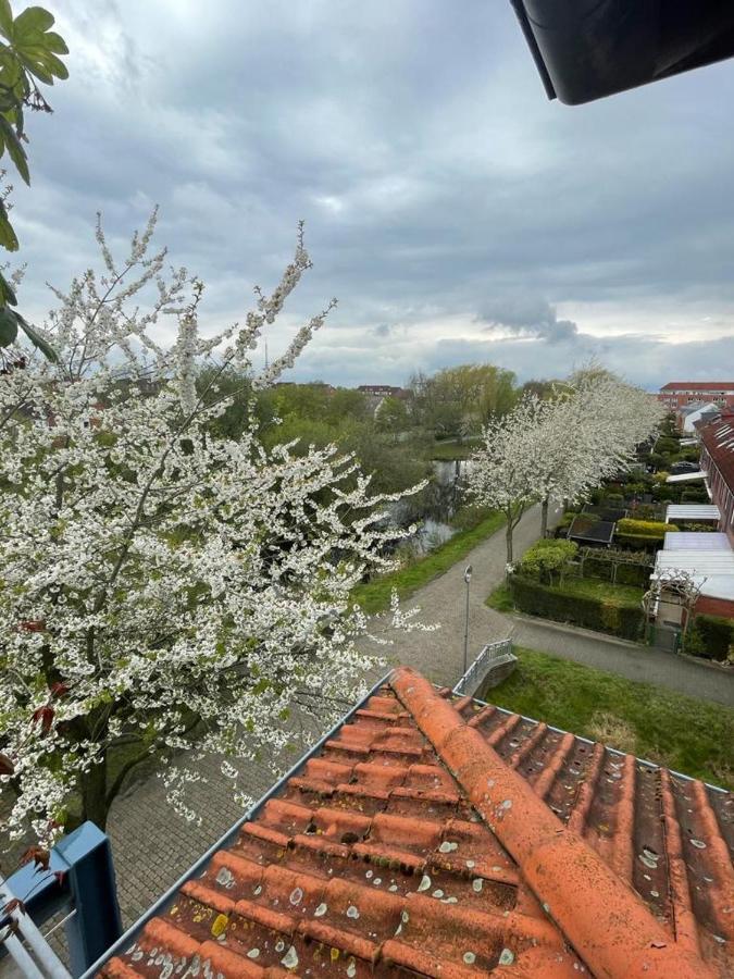 Grosszugige Wohnung In Findorff Bremen Dış mekan fotoğraf